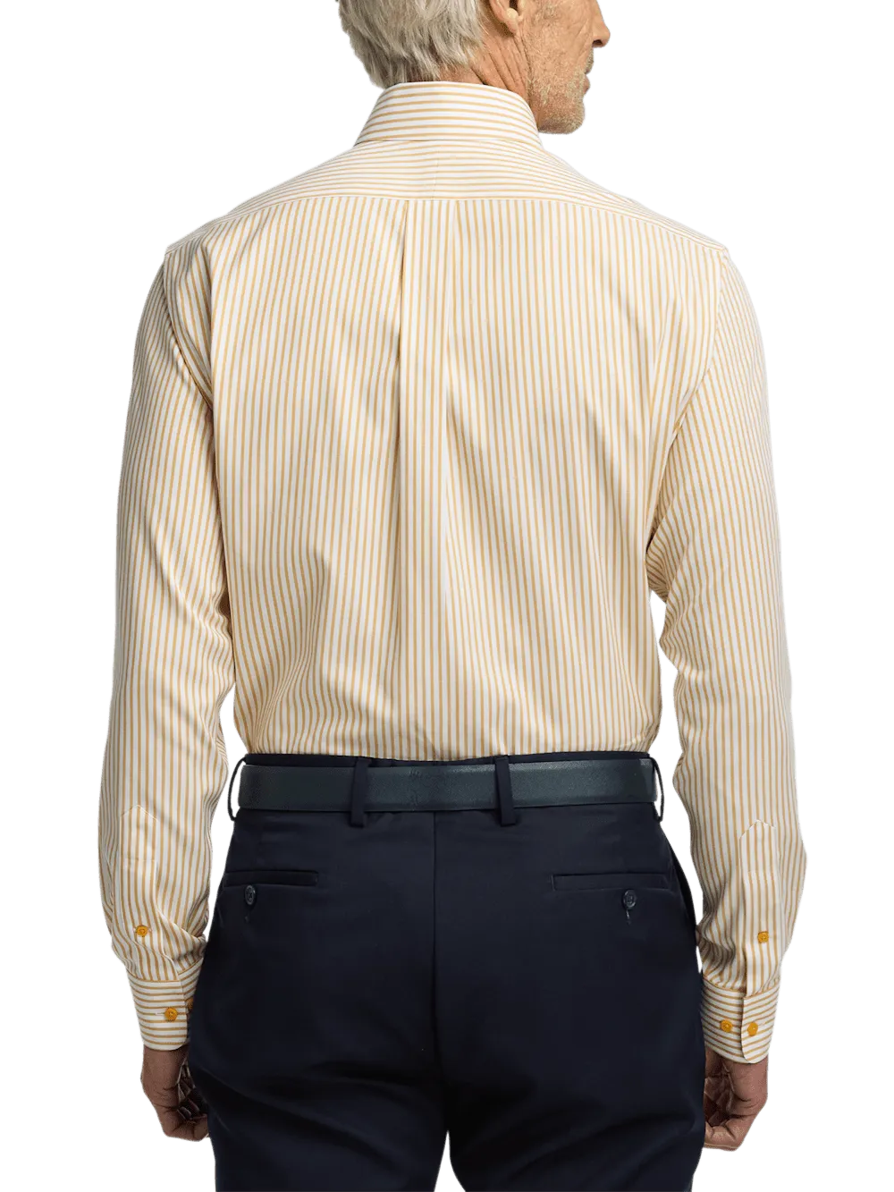 Comfort Stretch Non-Iron Stripe Dress Shirt With Contrast Trim - White/gold