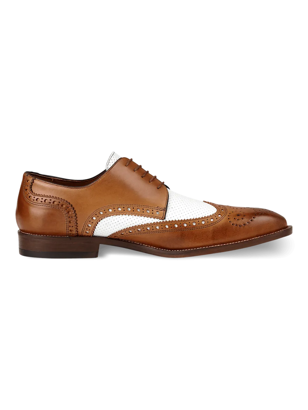 Morris Derby - Chestnut/white